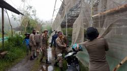 Vila hingga Green House Tak Berizin di Puncak Bogor Dibongkar, Pemilik Sempat Melawan