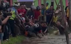 Dramatis! Warga Mempawah Tangkap Buaya 2 Meter Muncul Dekat Permukiman