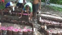 Banjir, 4 Jenazah di TPU Jember Tersapu Luapan Sungai Kali Jompo