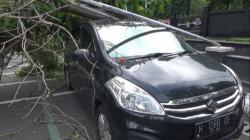 Diterjang Angin, Pohon di Depan Kantor Gubernur Jateng Tumbang Timpa Mobil 