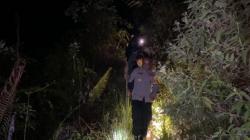 Puluhan Tanaman Ganja Ditemukan di Kebun Kopi Seluas 1 Hektare<