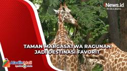 Tetap Jadi Primadona saat Liburan, Ini Alasan Pengunjung Pilih Margasatwa Ragunan