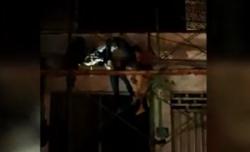 Pekerja di Ubud Bali Tewas Tersetrum, Tak Sengaja Sentuh Kabel Listrik Tegangan Tinggi