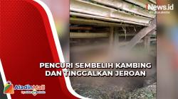 Pencuri Kambing di Depok Sembelih dan Tinggalkan Jeroan dalam Kandang