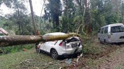 Honda CRV Rusak Parah Tertimpa Pohon Tumbang di Camping Ground Salabintana Sukabumi<