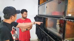 Banyak Orang Tewas Dipatuk Ular Kobra, Dedi Mulyadi Sambangi Rumah Panji Petualang<