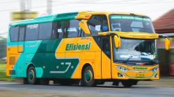 IPOMI Harap Busmania Jangan Berlebihan tentang Fenomena Klakson Telolet, Begini Alasannya 