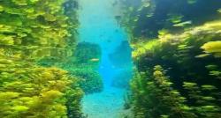 Pesona Mata Air Sumber Sirah, Snorkeling di Air Tawar Paling Jernih di Malang