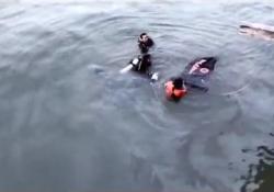 Mobil Terjun ke Laut, 1 Orang Ditemukan Tewas