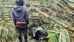 Rumpun Bambu di Bogor Roboh Timpa Pemotor, 1 Orang Terluka