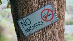 Pengertian Kata Kerja Imperatif Beserta Fungsi, Ciri, dan Contohnya<