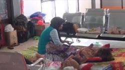 2 Minggu Tertahan di Pelabuhan Jangkar, 35 Calon Penumpang Feri Kehabisan Bekal 