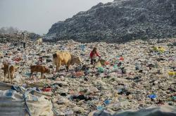 Masyarakat Dilarang Buang Sampah Anorganik, DLH Jogja Siapkan Fasilitas Pendukung