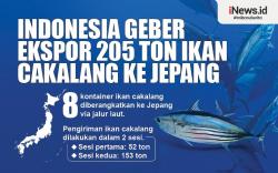 Infografis Perikanan Indonesia Ekspor 205 Ton Ikan Cakalang ke Jepang 