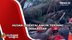 Detik-Detik Hujan Disertai Angin Terjang Makassar, Belasan Pohon Tumbang
