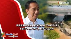 Presiden Jokowi Tinjau Perlintasan Gajah di Bawah Jalan Tol Pekanbaru-Dumai