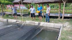 Top! Politikus Partai Perindo Palu Kembangkan Teknologi Bioflok Budidaya Ikan<