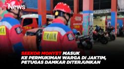 Seekor Monyet Masuk ke Permukiman Warga di Jaktim, Petugas DAMKAR Diterjunkan 