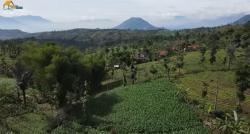 Kampung Terpencil yang Indah di Garut, Banyak Hamparan Jagung Berkat Tangan Rapuh si Emak<