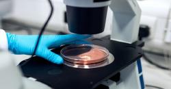 Ilmuwan Paling Gila Dalam Sejarah, Eksperimennya Bikin Merinding