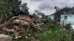 BPBD Catat 396 Rumah Warga di NTT Rusak akibat Bencana Hidrometeorologi<