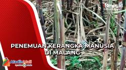 Penemuan Kerangka Manusia di Kebun Tebu Malang