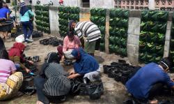 Pemkot Semarang Akan Masukkan Urban Farming ke Kurikulum Merdeka, Ini Tujuannya<