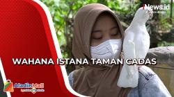 Mejumpai Burung Endemik di Wahana Istana Taman Cadas Cilegon