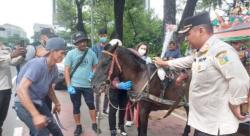 Kesehatan Kuda Delman di Kawasan Monas Diawasi