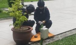 Heboh, Granat Nanas Ditemukan di Taman Balai Kota Surabaya <