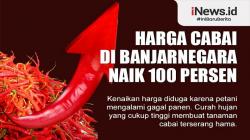Infografis Harga Cabai di Banjarnegara Naik 100 Persen