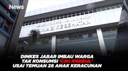 Dinkes Jabar Imbau Warga Tak Konsumsi 'Ciki Ngebul' Usai Temuan 28 Anak Keracunan
