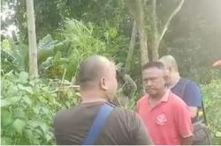 Tanam 55 Batang Ganja di Kebun Kacang, Petani Ini Ditangkap Polisi