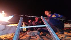 Diserang Tawon Vespa, Anak di Pemalang Menangis Histeris