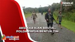 Serius! Polda Papua Bentuk Tim Kejar KKB di Pegunungan