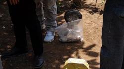 Heboh Temuan Bungkusan Pocong Berisi Ayam Hitam di Makam Probolinggo, Diduga Pesugihan