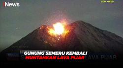 Gunung Semeru Kembali Muntahkan Lava Pijar