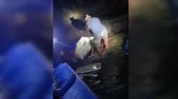 Hilang 2 Hari, Nelayan Buton Ditemukan Terdampar di Pesisir Pantai dengan Boks Styrofoam