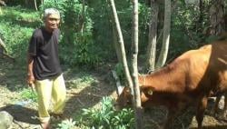 Cerita Slamet, Petani Klaten Mendadak Jadi Miliarder usai Terima Ganti Rugi Tol Rp7 Miliar