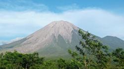 Gunung Semeru Erupsi 20 Kali, Radius 13 Km Steril dari Aktivitas Warga