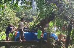 Tertimpa Pohon Tumbang, Driver Taksi Online Tewas di Tempat<