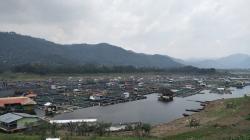 Puluhan Ton Ikan di Waduk Saguling KBB Mati Mendadak, Petani Terpaksa Jual Murah<
