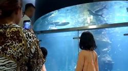 Akuarium Raksasa di Pangandaran Diserbu Wisatawan dari Berbagai Daerah <