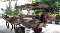 Senja Kala Dokar di Pemalang saat Tergusur Alat Transportasi Modern 