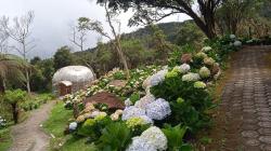 Orchid Garden, Pelestarian Anggrek Hutan Langka di Gunung Papandayan Garut