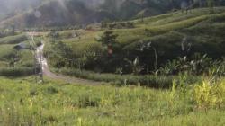 Jalan Rusak Parah, Transmigran di Boalemo Kesulitan Jual Hasil Pertanian 