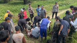 Sengketa Lahan Sawit di Mamuju Tengah, 1 Orang Tewas Dibacok, 2 Luka-Luka<