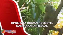 Monyet Liar Resahkan Warga Karangasem, Ambil Makanan dan Rusak Barang