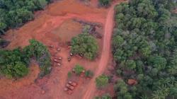 DPR Minta Keran Ekspor Biji Bauksit Dibuka Lagi, Ini Alasannya