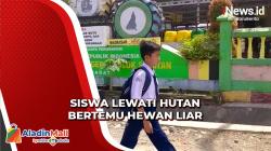 Begini Kisah Siswa di Solok Selatan Berjuang ke Sekolah, Jumpa Babi dan Pingsan saat Belajar